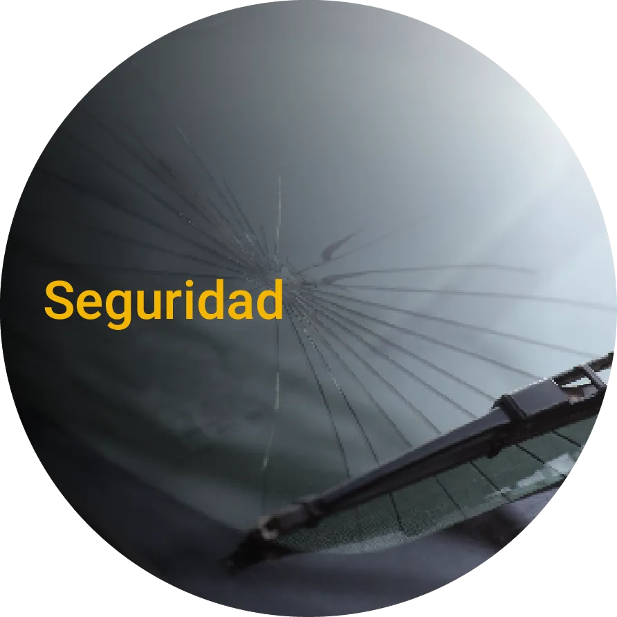 seguridad